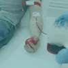 Donate Blood